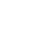 fiat-professional